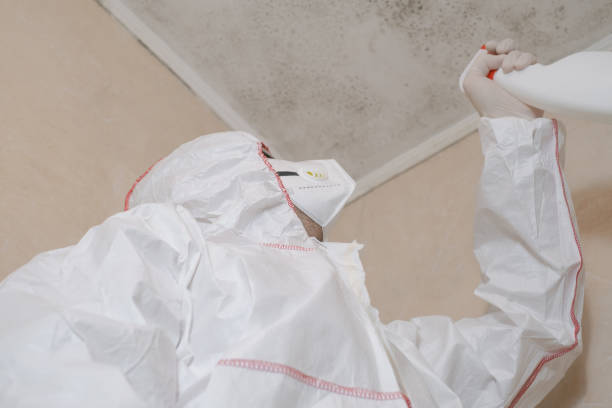 Trusted Rio Linda, CA Mold Remediation Experts