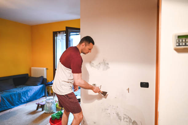 Best Bathroom Mold Remediation in Rio Linda, CA